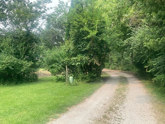 Building Photo - Beautiful Duplex Located in Serene, Wooded...