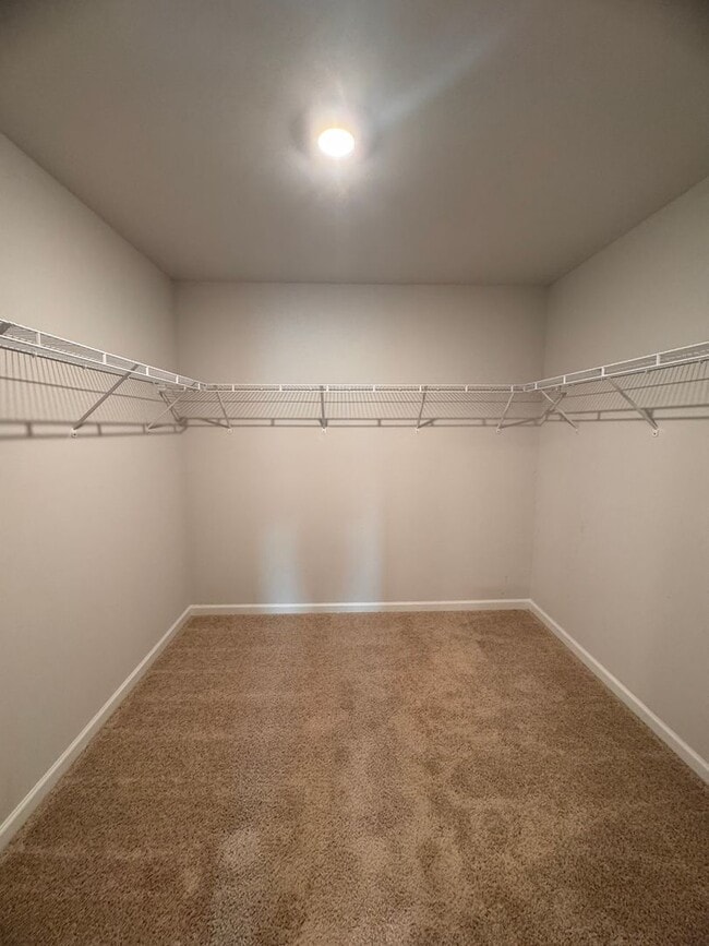 Building Photo - Beautiful 4BR 2.5BA Home in Trinity