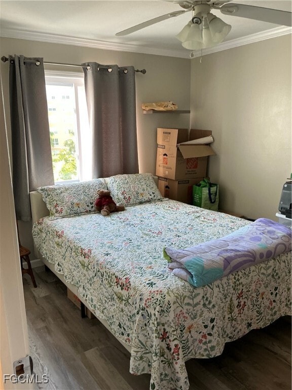 Building Photo - 2885 Palm Beach Blvd