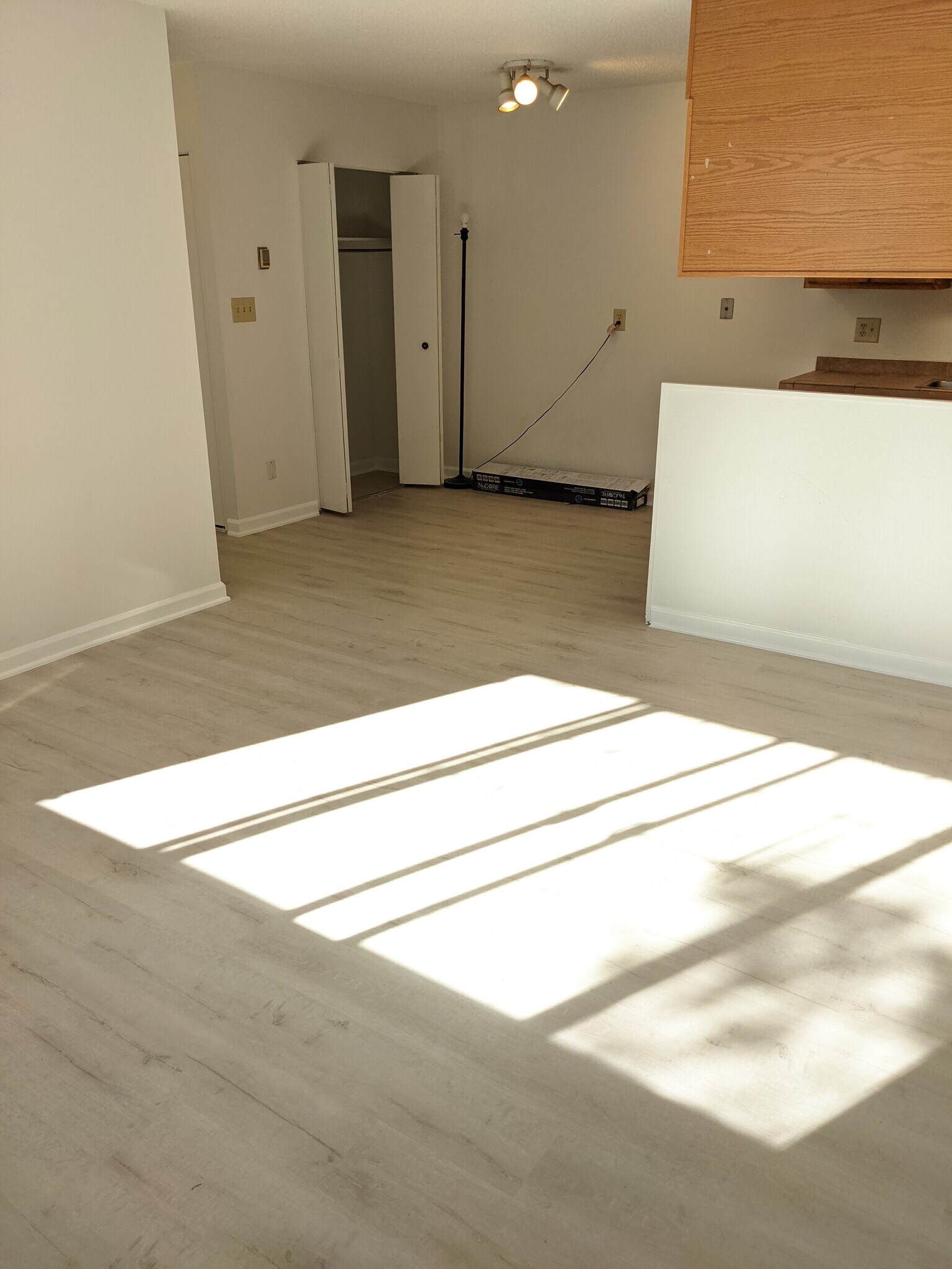 Sun beams through - 850 W Moorhead Cir