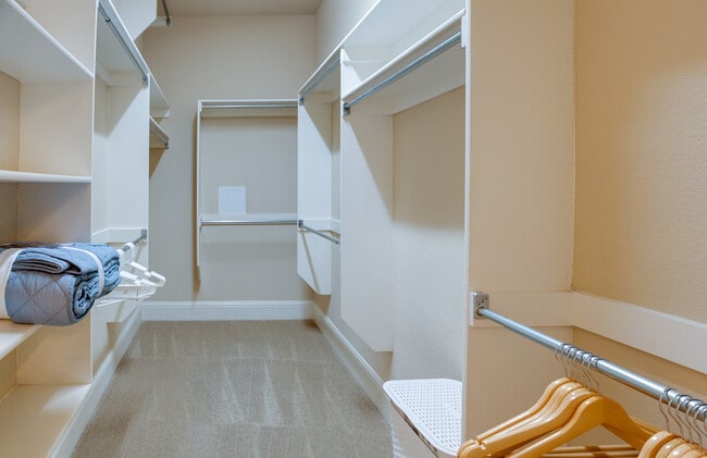 Downstairs Master closet - 713 Northwood Dr