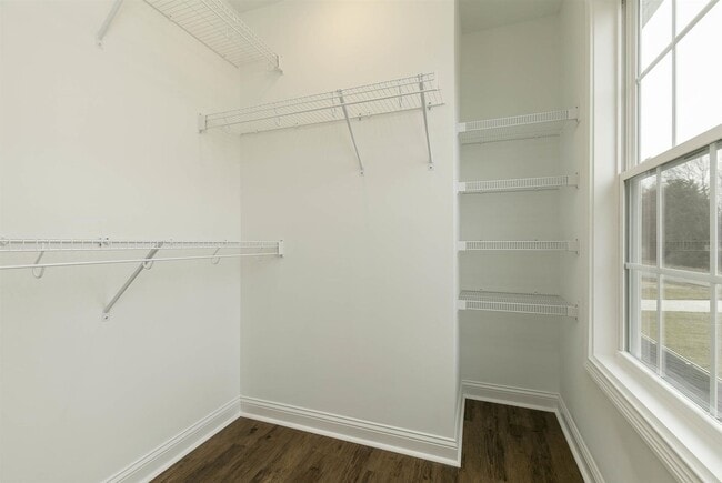 Building Photo - What a kitchen.