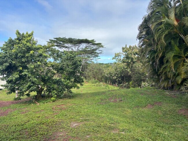Building Photo - Gorgeous Four Bedroom / Two Bathroom On Usable Acreage