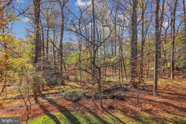 Building Photo - 1511 Hugo Cir