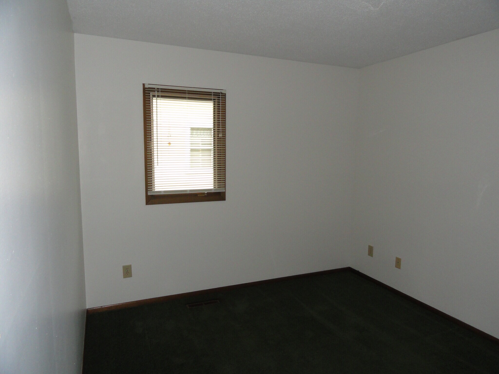 Back bedroom window - 1342 Pleasant View Dr