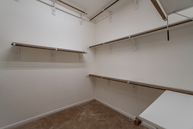 Building Photo - 74 S Sawbridge Cir