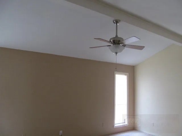 Building Photo - 1806 Bobcat Ln