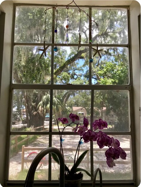 Building Photo - 313 Faulkner St