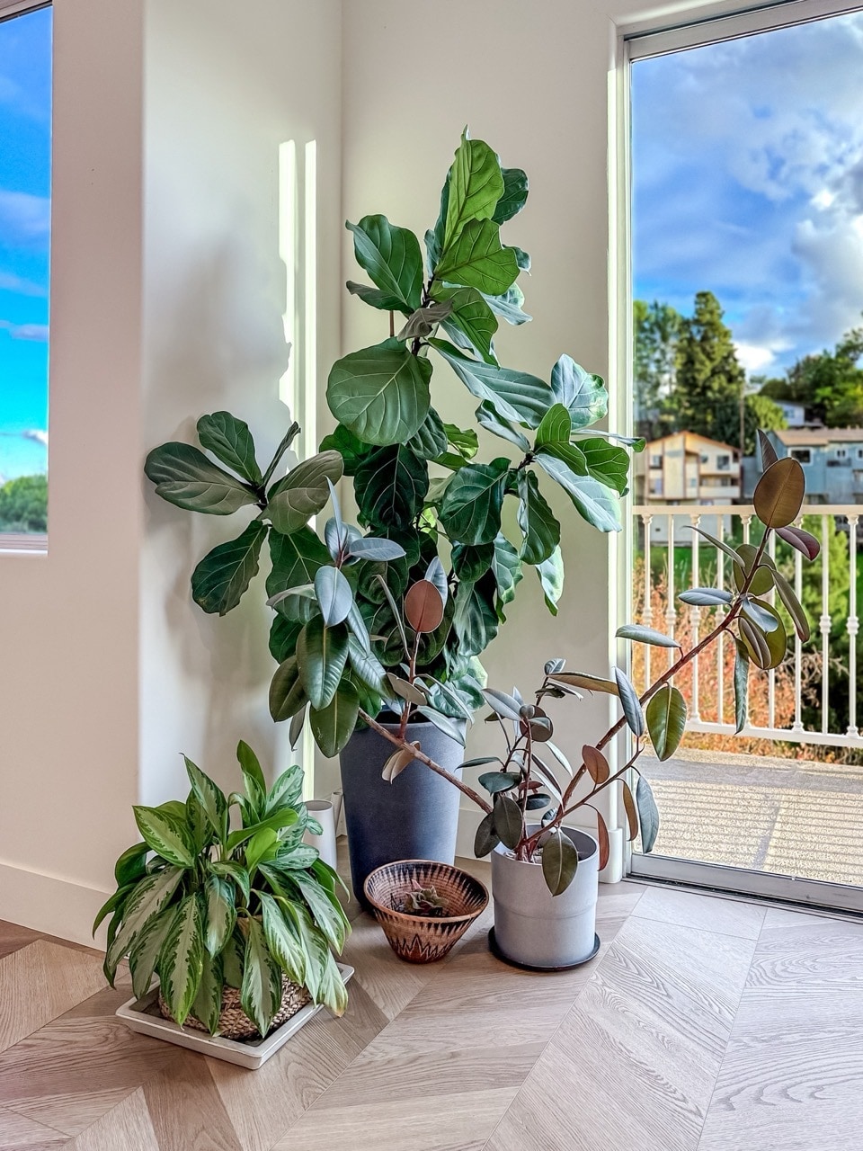 Building Photo - 974 Nordica Dr