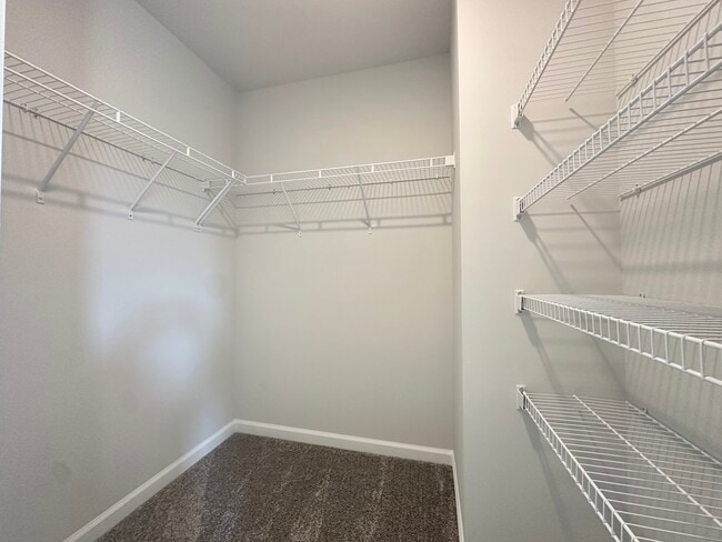 Building Photo - 1604 Tamarisk Ln