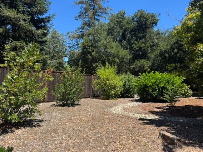 Building Photo - Fabulous single level Lafayette home nestled at the end of a tree-lined drive.