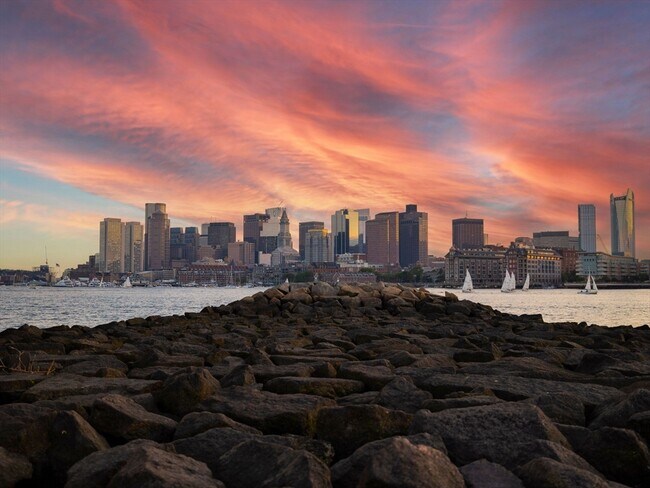 Building Photo - 238 Havre St