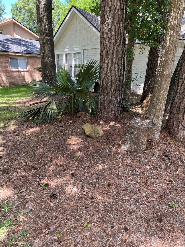 Building Photo - 4 bedroom, 2 bath - One story rental in Kingwood