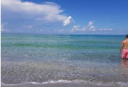 Building Photo - 3465 Gulf of Mexico Dr