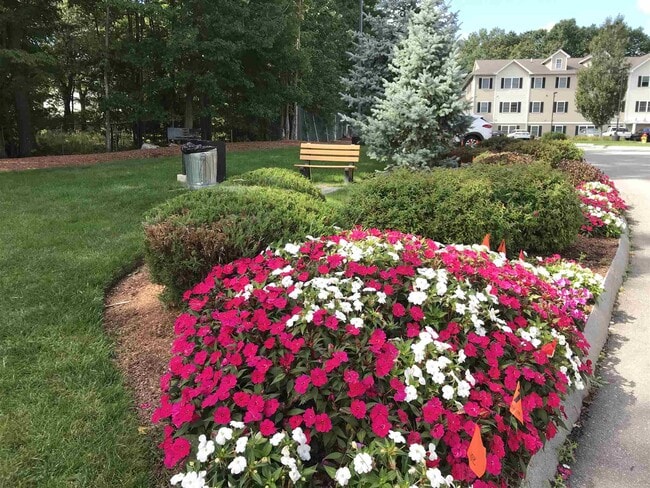 Building Photo - 100 Sentinel Court