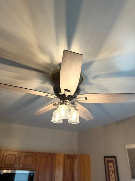 Building Photo - 6726 20th Ave