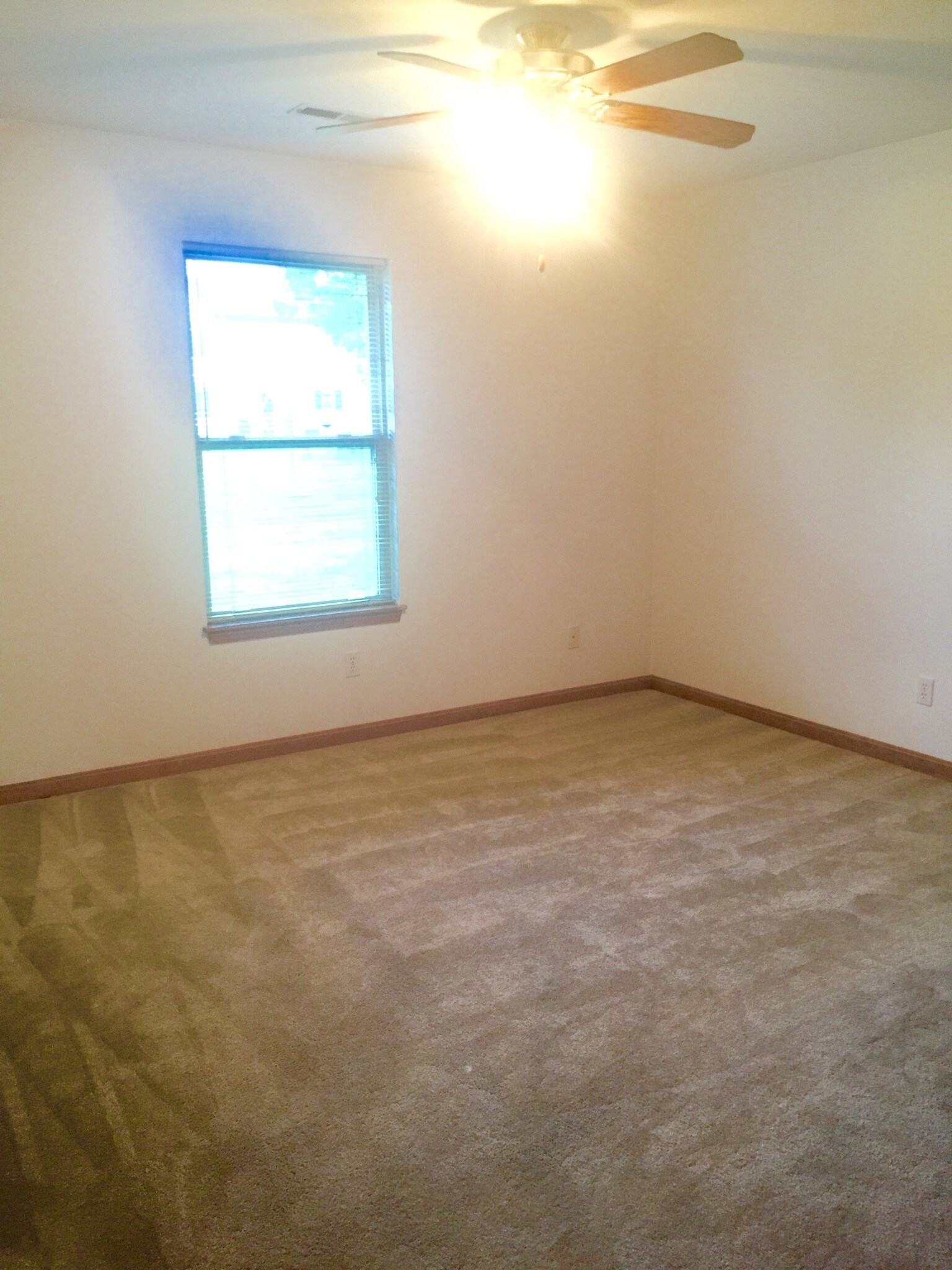 Building Photo - 1508 Blue Bonnet St