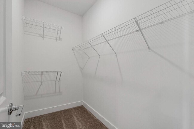 Building Photo - 19826 Lavender Dust Sq