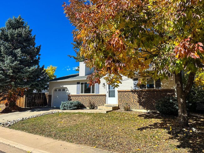 Building Photo - Updated Single-Family Home in Littleton