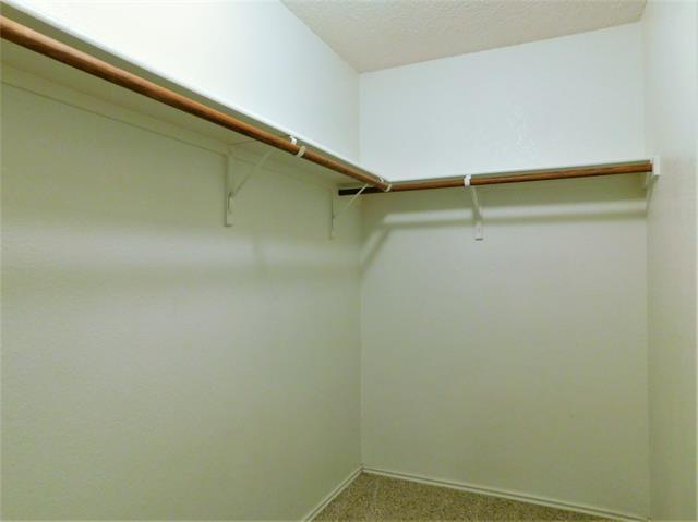 Building Photo - 3303 Friesian Ct