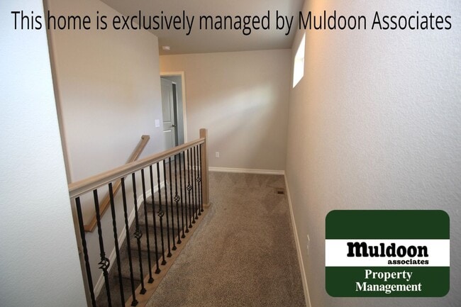 Building Photo - 7525 Mount Elbert Pt