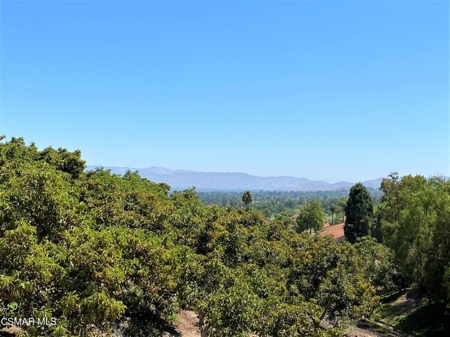 Building Photo - 1061 Shoal Creek Ct