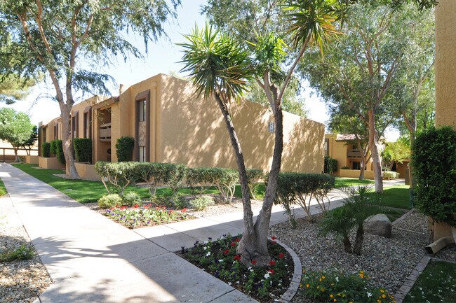 Building Photo - Spacious Condo near Old Town Scottsdale