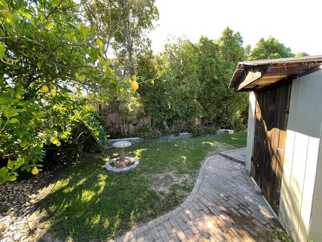 Building Photo - Great Shape Sunset West Single Family Home