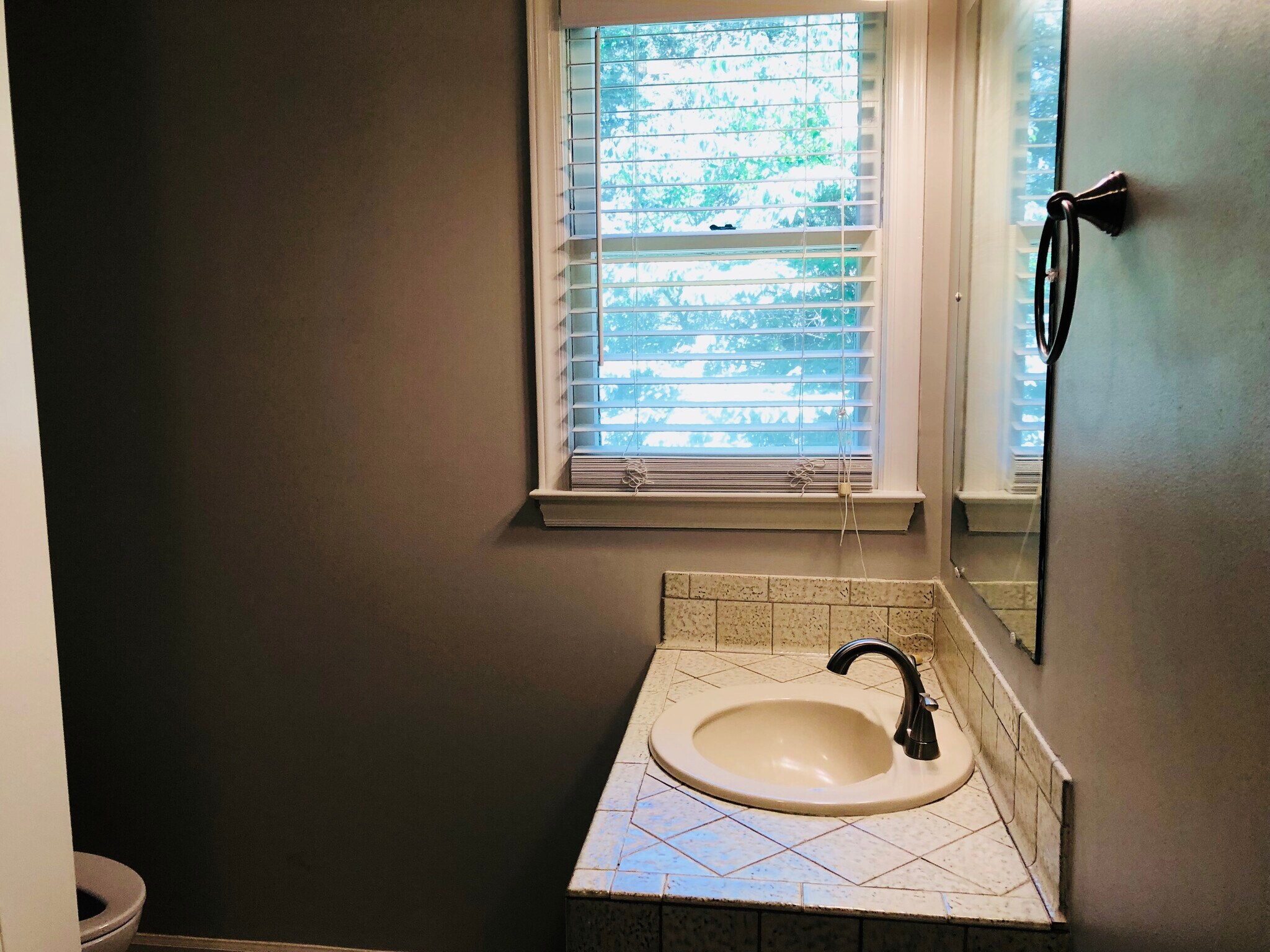 Over look the backyard and beautiful landscaping while brushing your teeth in the morning. - 3 Tyrol Ct