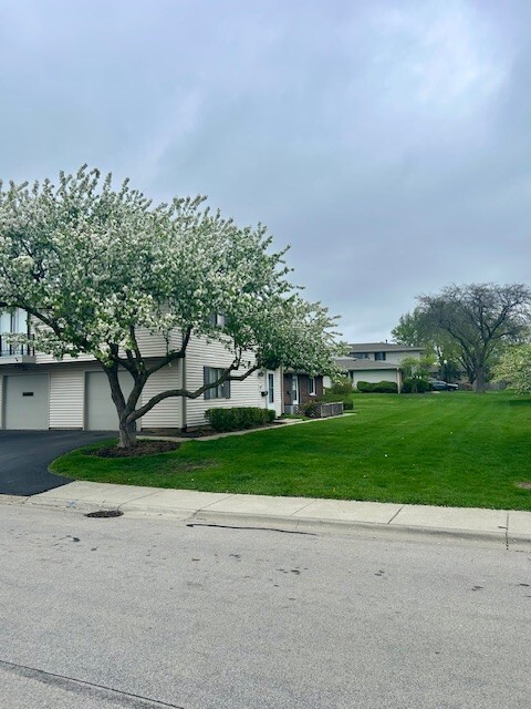 Yard - 1028 Sagamore Dr