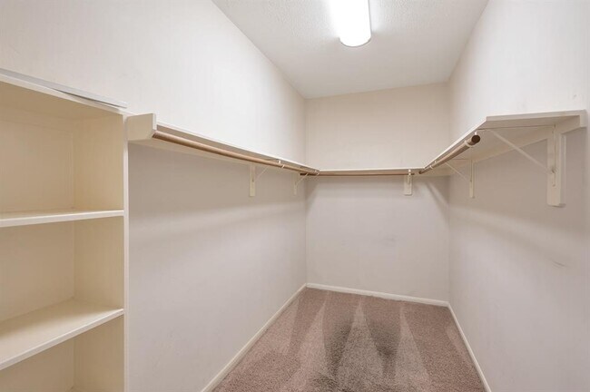 Building Photo - 3319 Viking Landing Ct