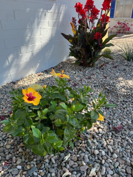 Building Photo - 920 E Montebello Ave