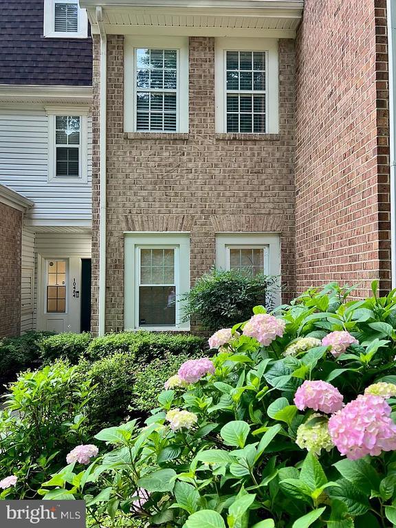 Building Photo - 10484 Parthenon Ct