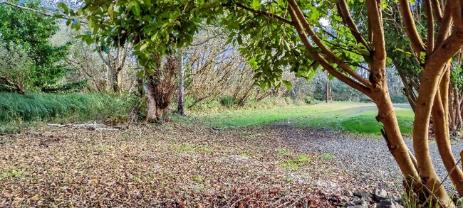 Building Photo - 711 N Third St