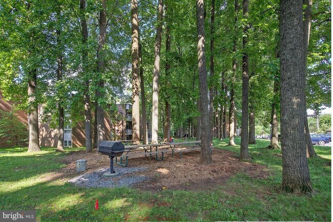 Building Photo - 2305 Greenery Ln