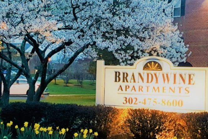 Primary Photo - Brandywine Apartments