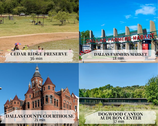 Building Photo - 11210 Cotillion Dr