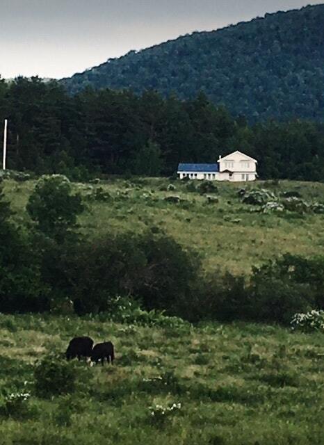 Building Photo - 178 Walnut Dr