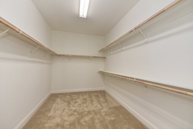 Building Photo - Spacious 4 Bedroom Home with Downstairs Bedroom and Upstairs Loft in Whitney Ranch Rocklin