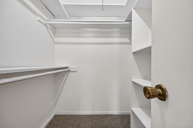 Building Photo - 5414 Spanish Oak Dr