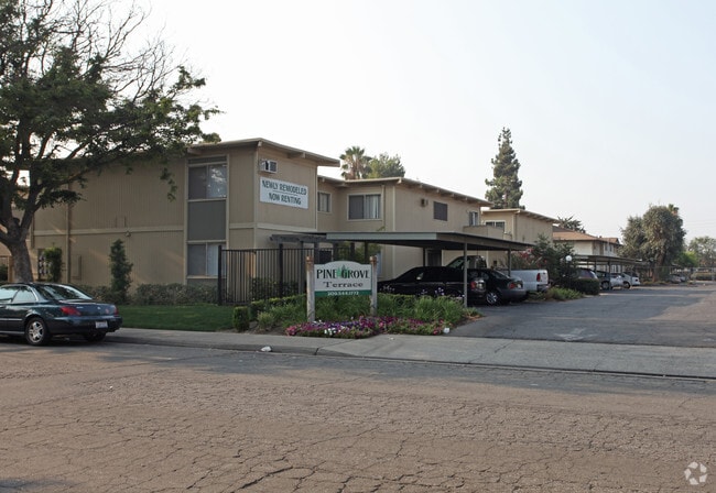 Primary Photo - Pine Grove Apartments
