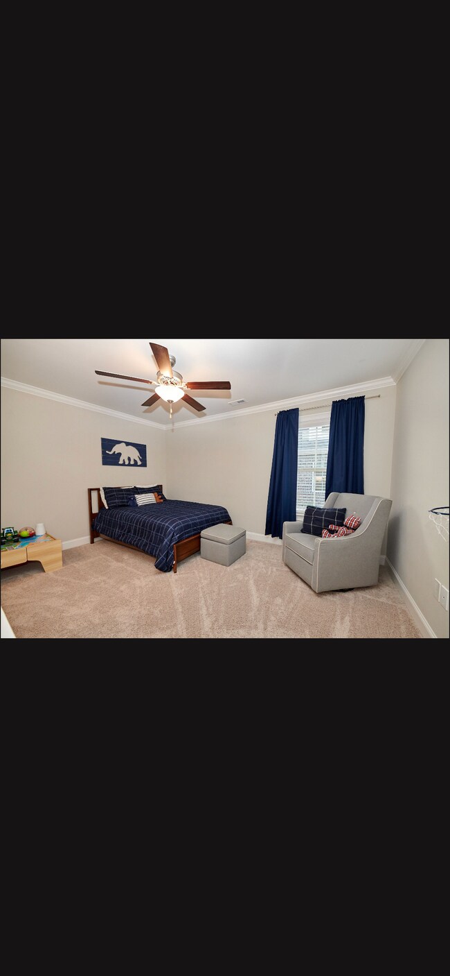 Building Photo - 2525 Celia Ct