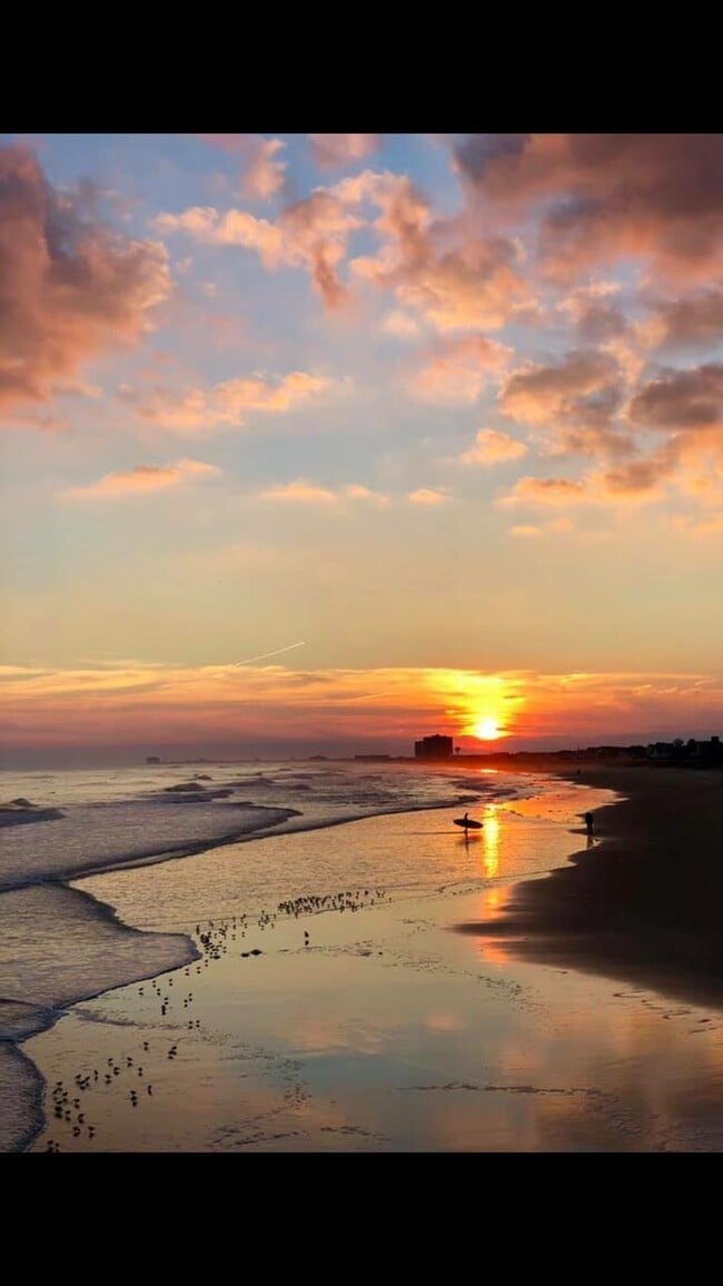 Building Photo - 8505 Monmouth Ave