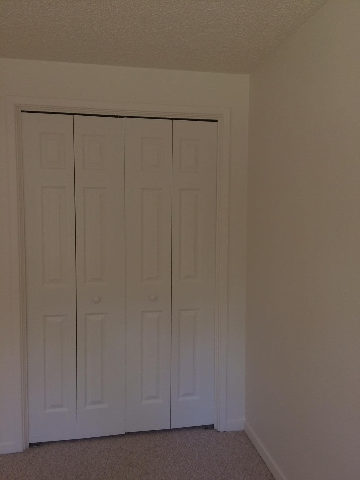 Building Photo - 1202 Avenida del Sol