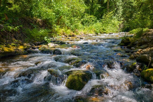 Building Photo - Rare Home on Creek Front Property!