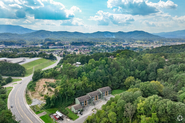 Aerial Photo - Tanglewood Lofts