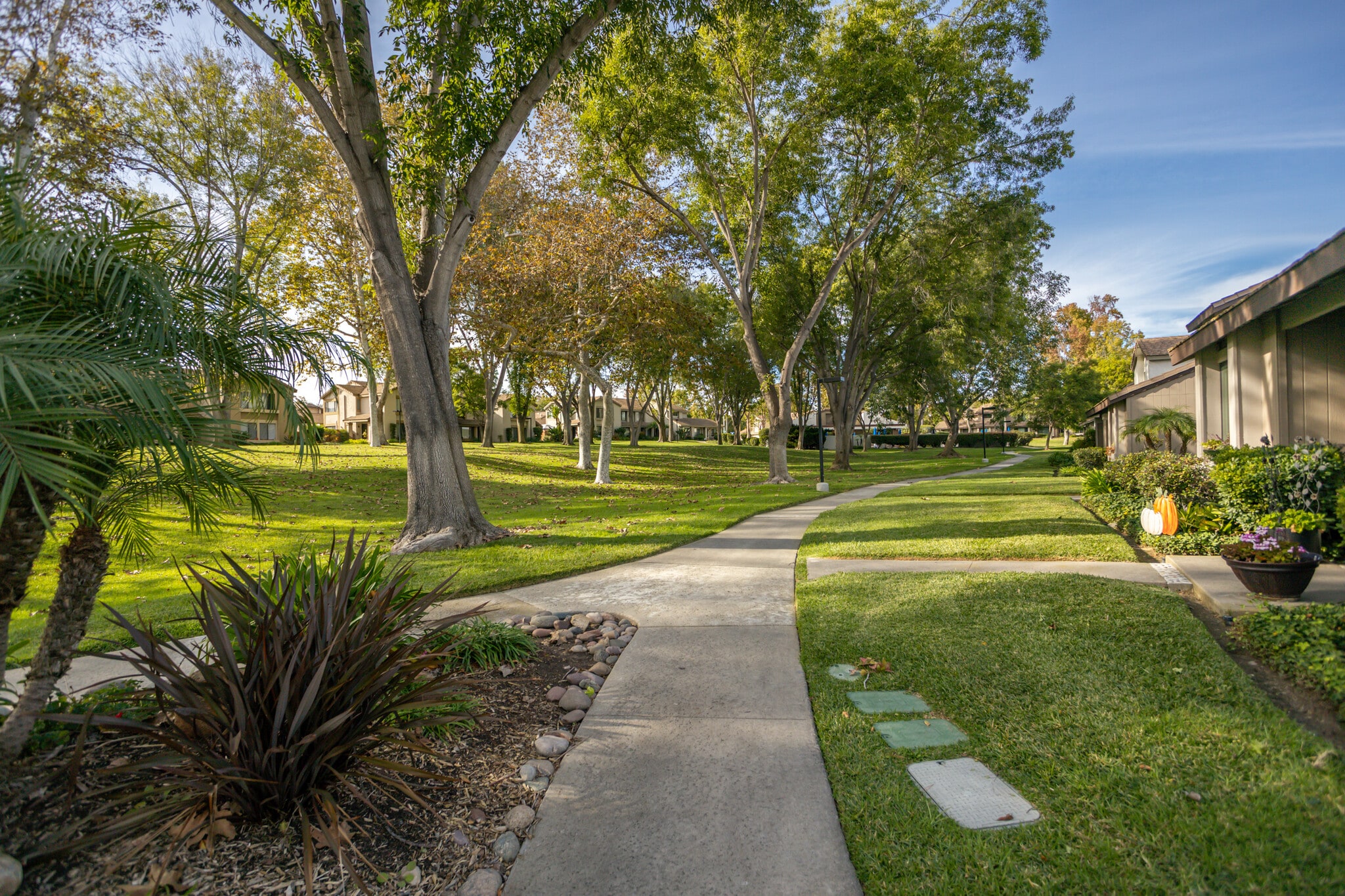 Building Photo - 5244 Edge Park Way