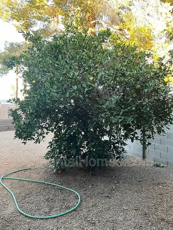 Building Photo - 6820 E Avalon Dr