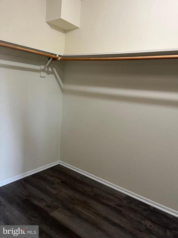 Building Photo - 2044 Royal Fern Ct