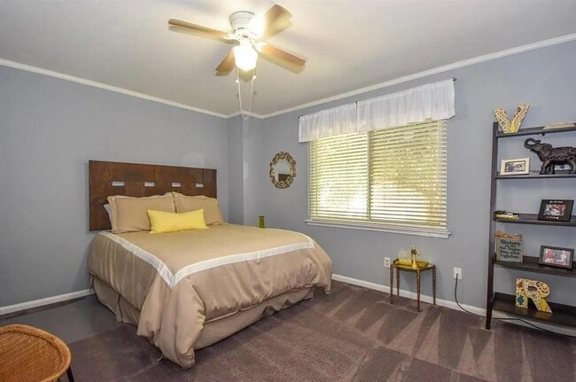 Building Photo - 10519 Jaycreek Dr